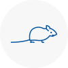 Mice Exterminators In Washington